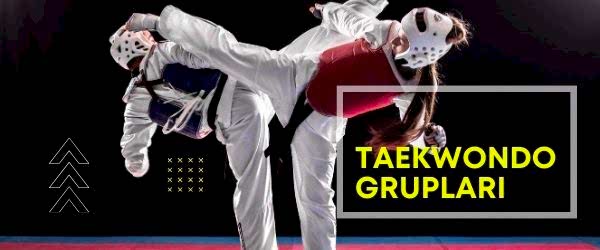 taekwondo